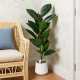 Artificial Plant